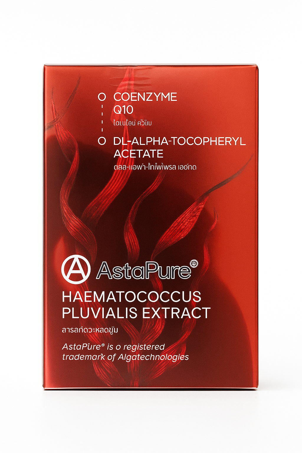 Asta Teloyears | Joji Brand